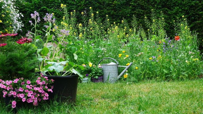 Changement de saison : les bons gestes à appliquer pour préparer son jardin à l’hiver