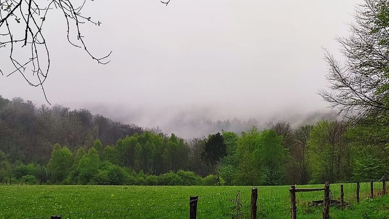 Météo en Belgique : brouillard et grisaille au menu de ce mercredi avant le retour du soleil en fin de journée