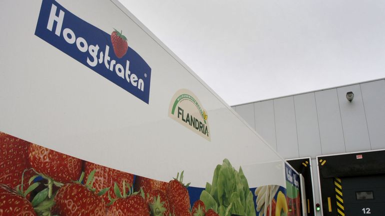 Hoogstraten : la première caissette de fraises de la saison adjugée pour 8000 euros