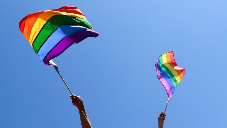 La Belgique perd une place au classement européen établi par les organisations LGBTI+