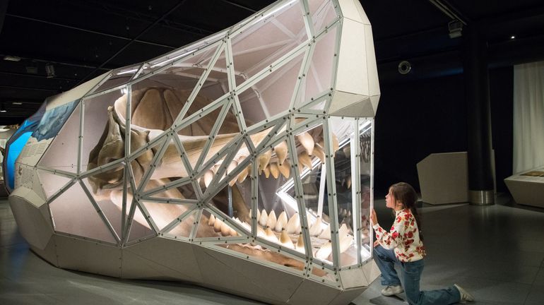 A l’Institut des sciences naturelles, l’exposition 'Sauvage ?' raconte ...