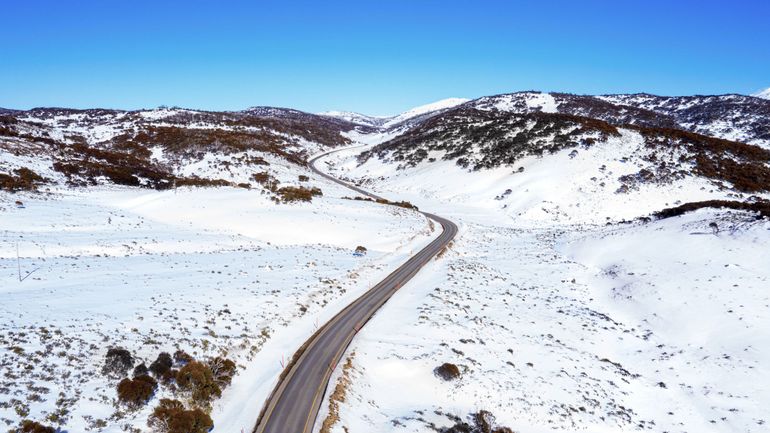 Australie : un jeune randonneur survit pendant deux semaines en cueillant des baies