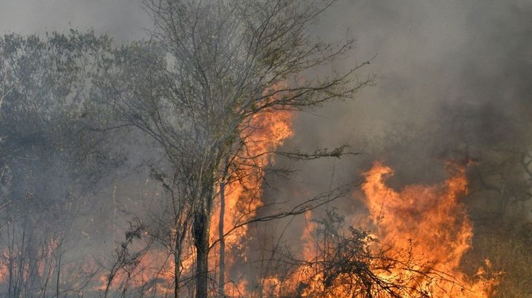 Bolivie: des incendies criminels dévastent des réserves écologiques