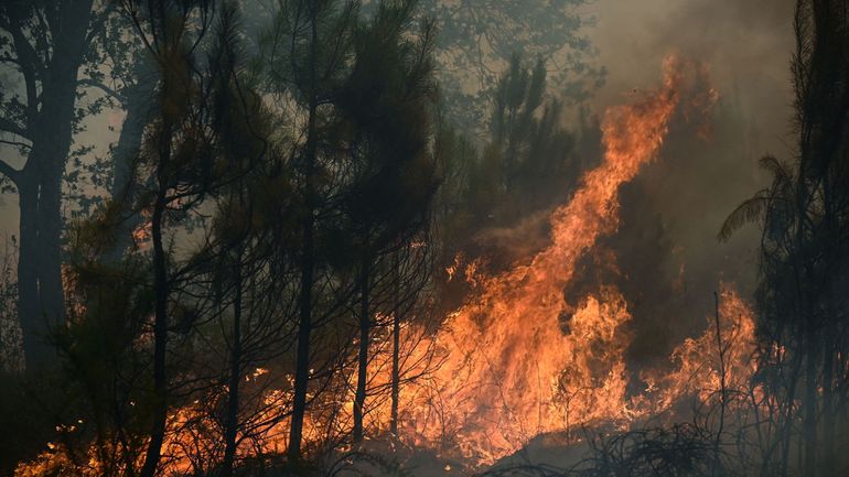 Incendies en Europe : déjà plus de surface brûlée dans l'UE qu'en 2021