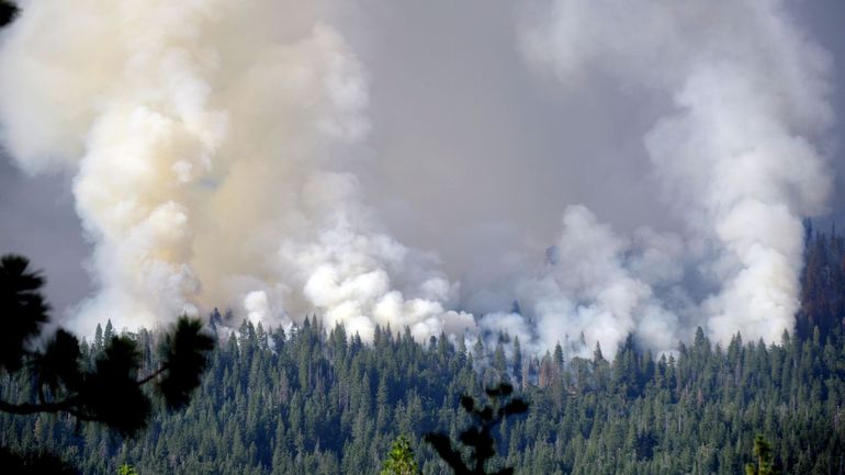 Etats-Unis : un incendie menace les séquoias géants du parc de Yosemite