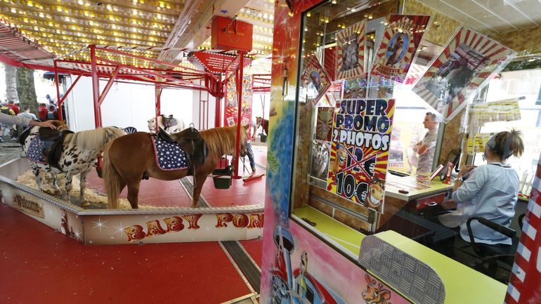 Fin de parcours pour l'exploitation de poneys de foire à Bruxelles