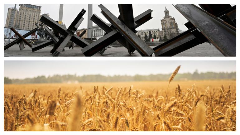 Guerre en Ukraine et économie : le prix des céréales au plus haut depuis 2008