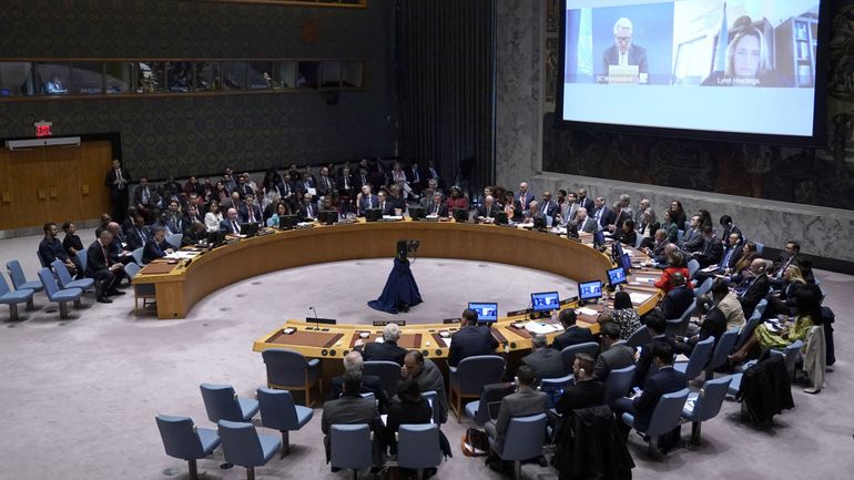 Conflit Israël-Gaza : deux textes dont un visant au cessez-le-feu soumis au vote du Conseil de sécurité de l'ONU à 21h