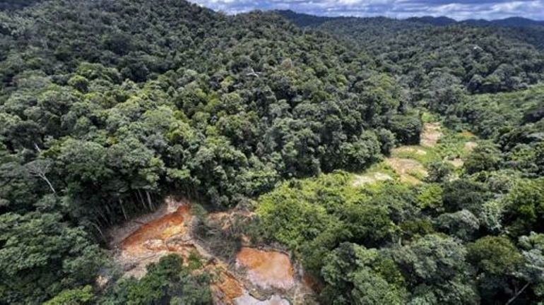 Les nouvelles règles européennes pour freiner la déforestation définitivement approuvées