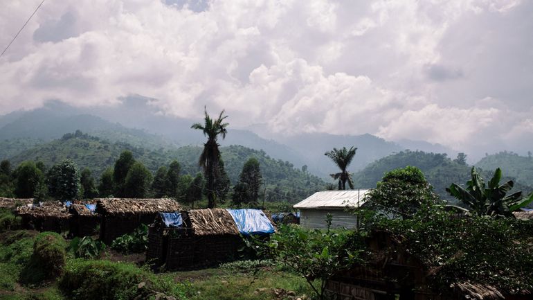 Violences dans l'est de la RDC : 242 rebelles ont été tués dans l'est du Congo, affirme l'armée ougandaise