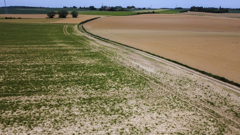 La Cellule d'expertise sécheresse fait le point sur la situation hydrique en Wallonie