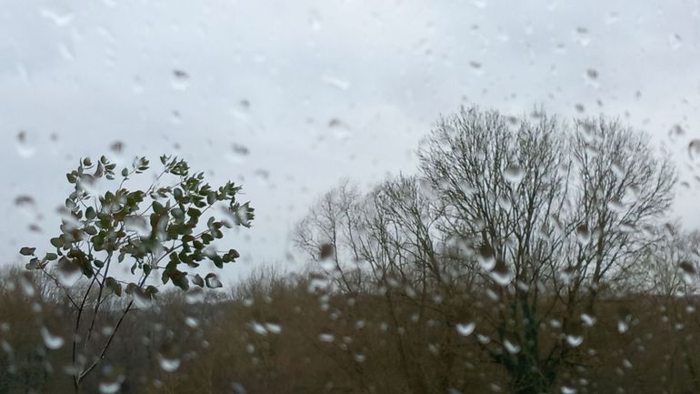 Météo en Belgique : maussade, avec beaucoup de pluie. Mieux demain