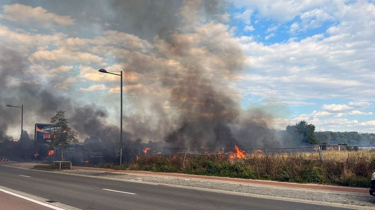 Haren : 8000m² sont partis en fumée après un incendie de végétation