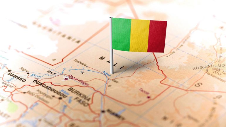 Mali : des dizaines de morts civils après l'attaque d'une localité par l'organisation Etat islamique