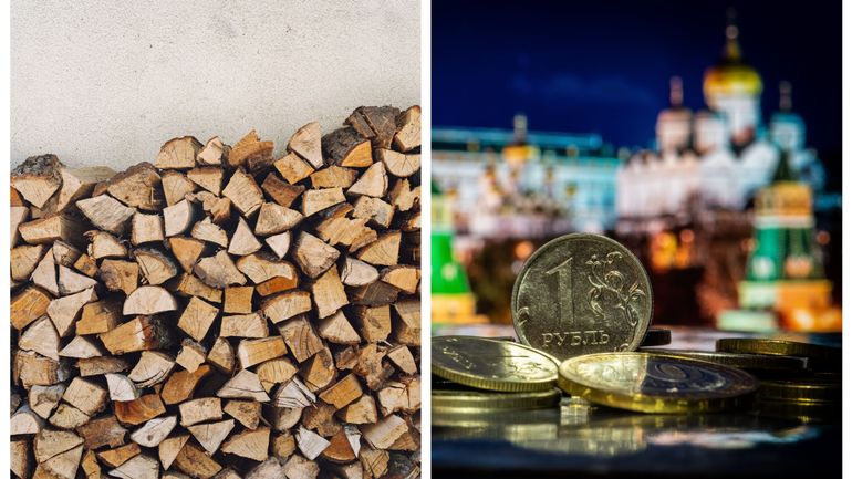 Sanctions contre la Russie : Moscou passe outre et continue à vendre son bois en Europe, révèle le Soir