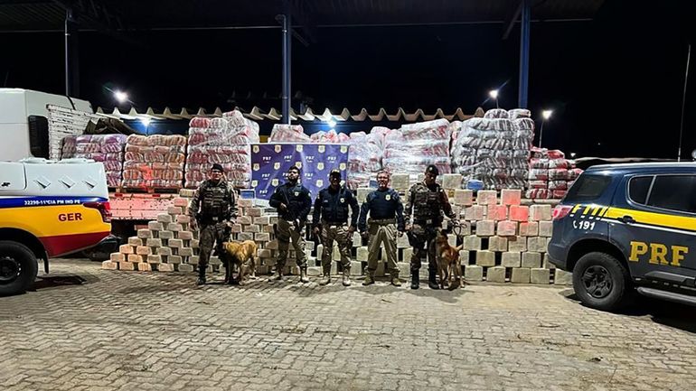 Brésil : une tonne de cocaïne saisie dans de la litière pour chats