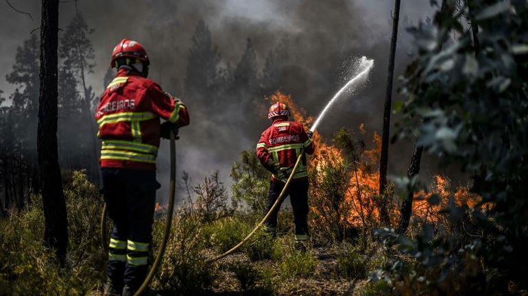 Un feu de forêt a détruit 7.000 hectares dans le centre du Portugal