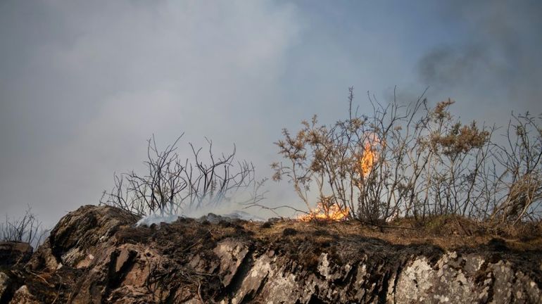 L'incendie dans la forêt de Brocéliande prend de l'ampleur, deux avions suédois en action