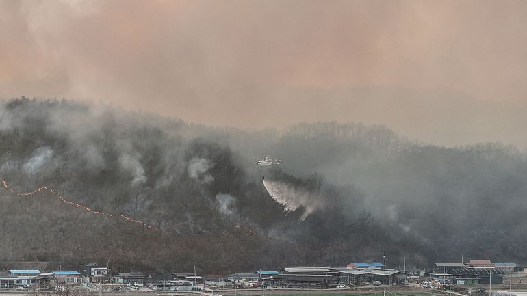 Quatre morts confirmés dans les feux de forêt en Corée du Sud, déclarés catastrophe nationale