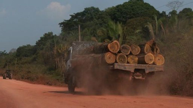 Brésil : la déforestation en Amazonie au plus bas en janvier-février depuis 2018