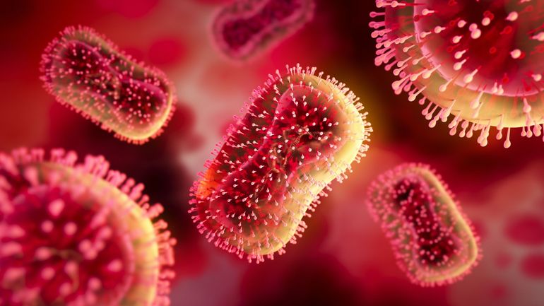 Espagne : deuxième décès d'un patient contaminé par la variole du singe