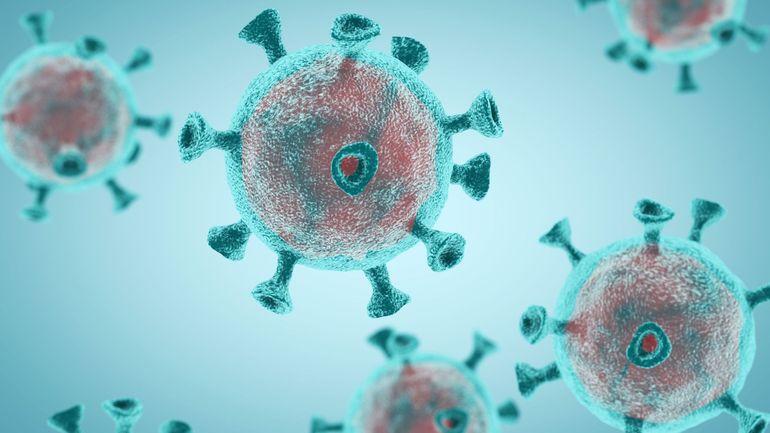 Le point sur la pandémie de coronavirus en Belgique : le nombre d'hospitalisations en hausse et le variant Delta dominant