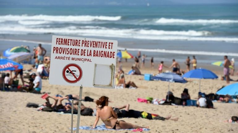 Une microalgue toxique est apparue sur les plages de la Côte basque française