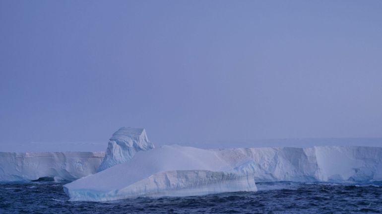 L’iceberg A23a, début avril de cette année, est entré dans le courant circumpolaire antarctique, un flux massif qui déplace cent fois plus d’eau autour du globe que tous les fleuves de la Terre réunis.