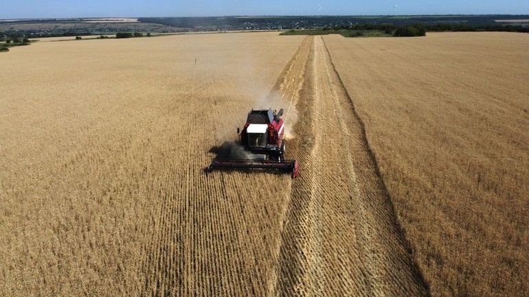 22% des terres agricoles ukrainiennes contrôlées par la Russie : 