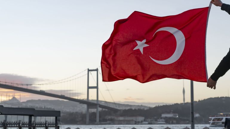 Elargissement de l'OTAN : la Commission parlementaire turque approuve l'adhésion de la Suède