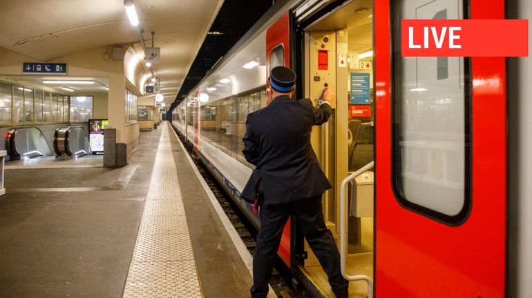 Direct - Manifestation nationale ce 13 janvier : un train sur trois devrait rouler, la situation région par région