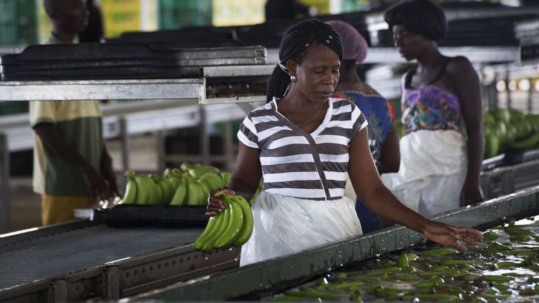 Les femmes encore victimes de très nombreuses inégalités dans le secteur alimentaire