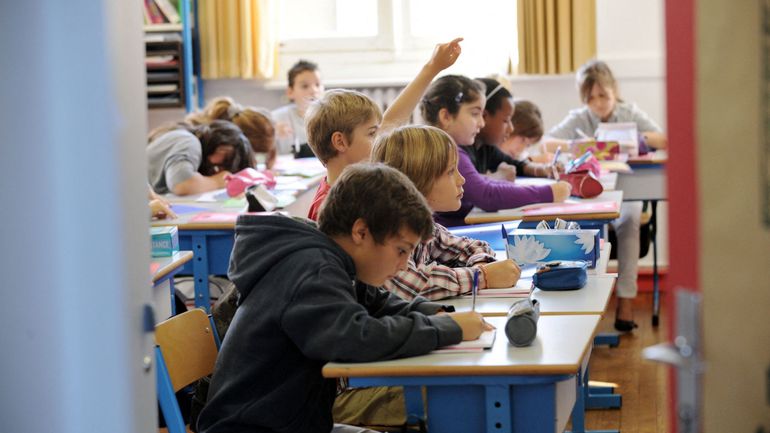 Assurer les cours de gym ou de religion en néerlandais dans les écoles francophones de Bruxelles : 