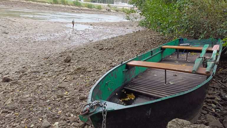 La Meuse en chômage : sauvetage des poissons, et nettoyage !