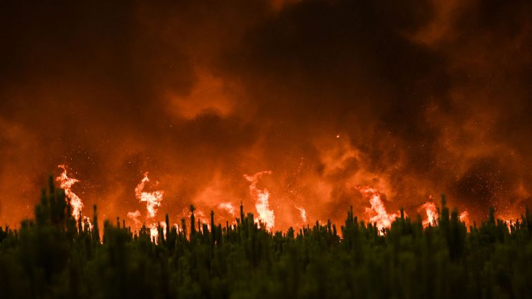 Reprise des incendies en Gironde : près de 6800 hectares de forêt sont partis en fumée