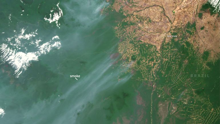 Record d'émissions de carbone en février en Amérique du Sud suite aux feux de forêts : du jamais vu depuis 2003