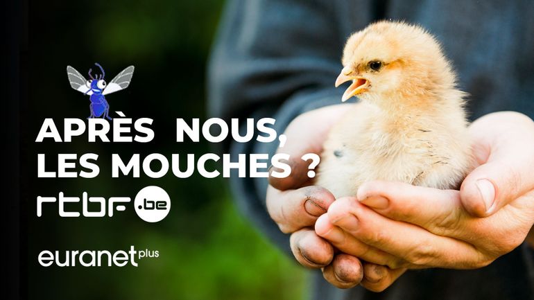 Être jeune et agriculteur : une histoire d'embûches et d'envies