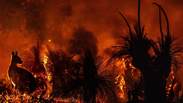 Australie : les grands feux de 2019-2020 ont alimenté le phénomène météo La Nina
