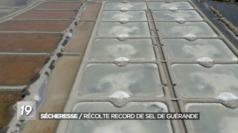 Sel, soleil et sécheresse : la combinaison gagnante des paludiers de Guérande