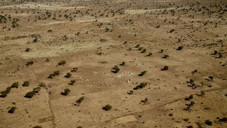 Niger: sept enfants tués dans une frappe aérienne du Nigeria