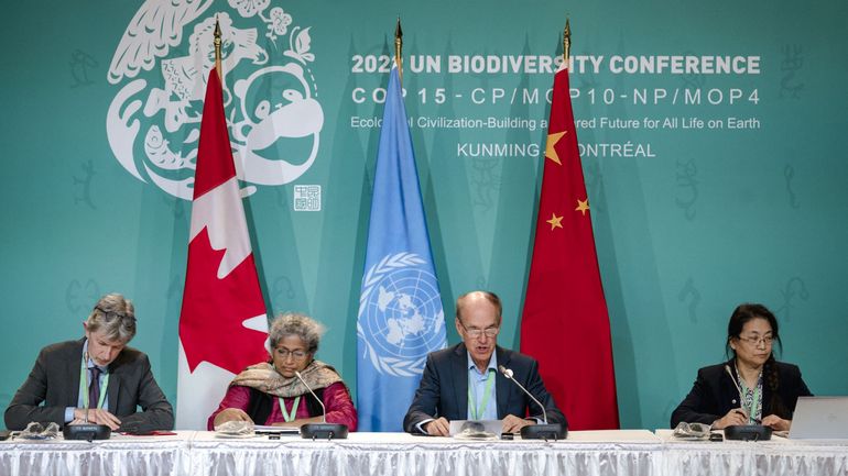 Un accord historique sur la biodiversité approuvé à la Cop15: protéger 30% de la planète d'ici 2030
