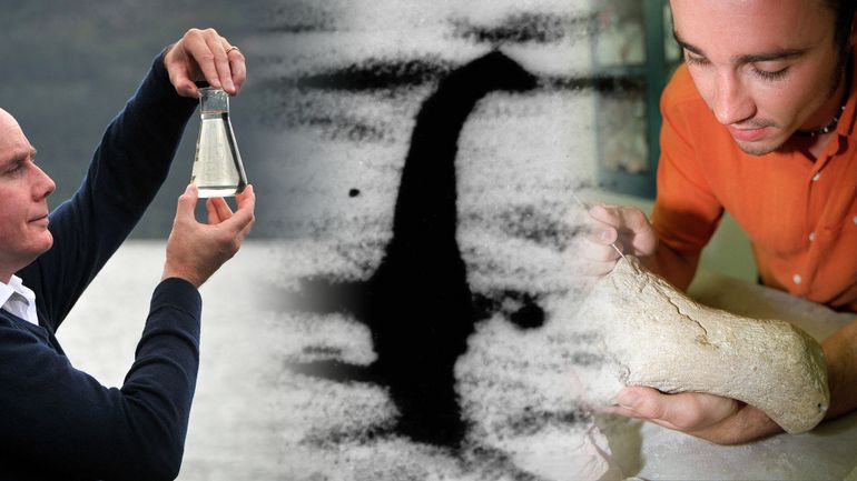 Enfin la vérité sur le monstre du Loch Ness ? Une grande campagne de recherche sera lancée à la fin du mois d'août