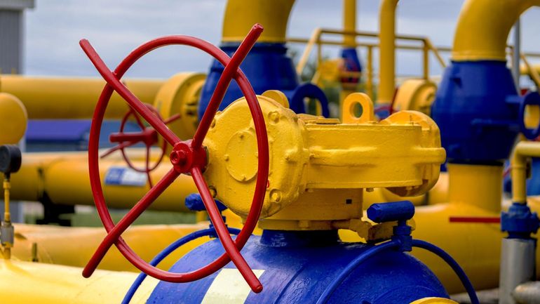 L'Ukraine a reçu son premier lot de gaz naturel liquéfié (GNL) en provenance des États-Unis