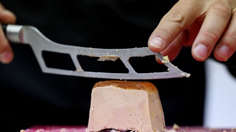 Gaia interpelle Colruyt sur la vente de foie gras issu d'un élevage de canes maltraitées