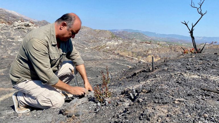 Ile de Rhodes : deux mois après les incendies, le combat de Nektarios pour faire revivre la nature