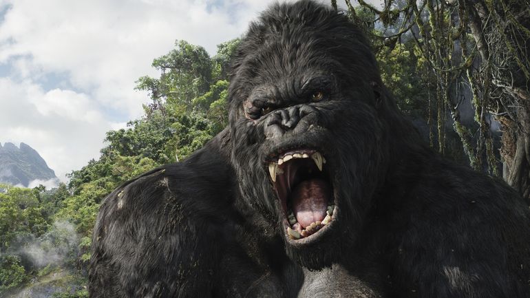 King Kong : connaissez-vous ces 3 anecdotes insolites ?