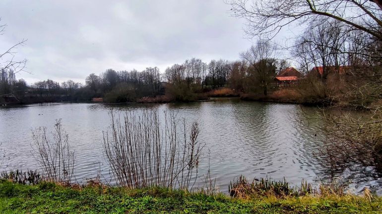 Météo en Belgique : un premier jour de l'an nuageux et venteux, avant le retour de la neige en cours de nuit