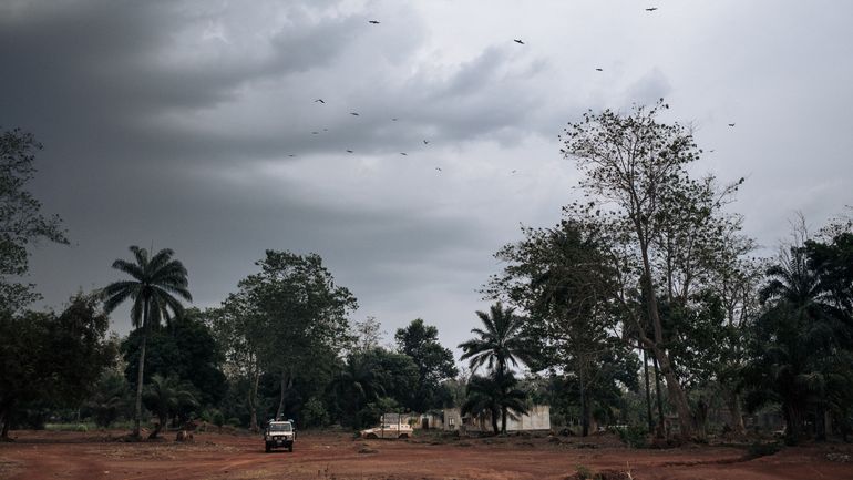 Centrafrique: au moins 7 civils tués par des rebelles