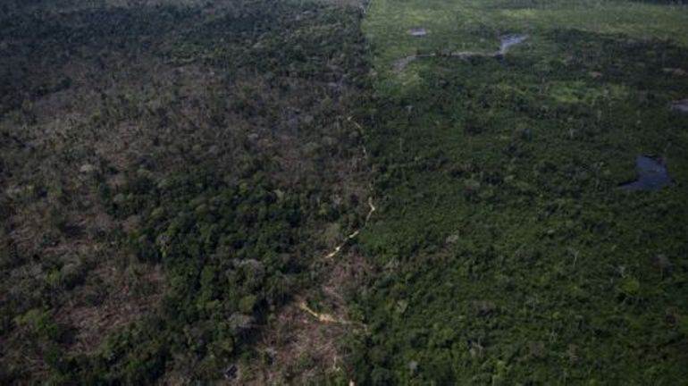 Un quart de l'Amazonie irréversiblement détruite, avertissent des chefs indigènes