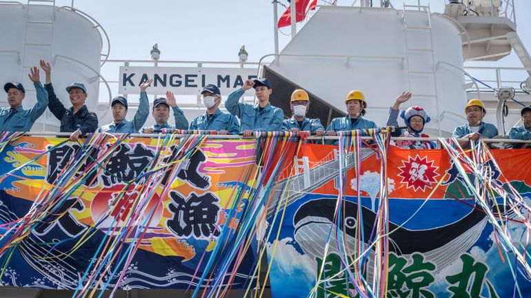 Au Japon, un immense bateau usine se lance à la chasse aux baleines : une pratique pas (encore) révolue, malgré le moratoire